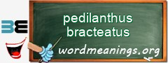 WordMeaning blackboard for pedilanthus bracteatus